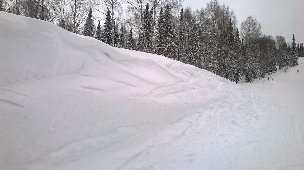   )))) ... ...... - 3