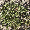  ir@ge))) ))), , 47  -  14  2015     ?!!! )))