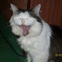 ���������������� ����, ����� �� ����� �������) ������� ����))