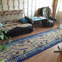 ���� ������, ������ �����, 43 ���� - ��������� 16 ������� 2015 � ������ ���� ����������