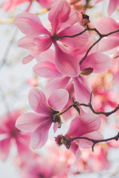    - 12  2015  13:33 - 9