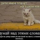 ���� ������, �����-��������� - ��������� 6 ������ 2015 � ������ ������ ��������