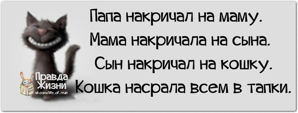 ������ ����� / ���� ! - 5 ������� 2015 � 22:14
