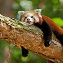 ������� ����� �� ������� ���� ����������