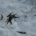 ���� ����, �����-���������, 30 ��� - ��������� 2 ����� 2015 � ������ ������� ''�������''�