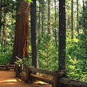 ���� ������, �����-���������, 33 ���� - ��������� 12 ����� 2015