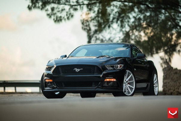 Ford Mustang GT 5.0