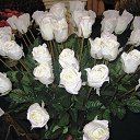 ���� �����, �������, 70 ��� - ��������� 17 ������ 2015 � ������ ������ ��������