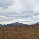 ���� ������, �������, 57 ��� - ��������� 14 ����� 2015