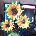 ���� �����, ������, 61 ��� - ��������� 10 ����� 2015 � ������ ���� �������