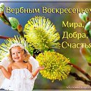 ���� �����, ���������� - ��������� 5 ������ 2015 � ������ ������ ��������