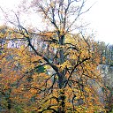 ���� �������, ������, 56 ��� - ��������� 21 ������ 2015 � ������ ���� ����