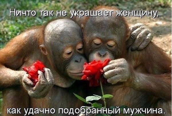   https://fotostrana.ru/away?to=/sl/KE2