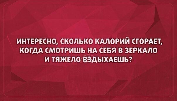 SportFeed - 15  2015  14:58