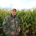 ���� ��, ���������, 46 ��� - ��������� 6 ������ 2015 � ������ ���� ����������