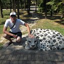 ���� ���������, ������ ��������, 44 ���� - ��������� 17 �������� 2015 � ������ ���� ����������