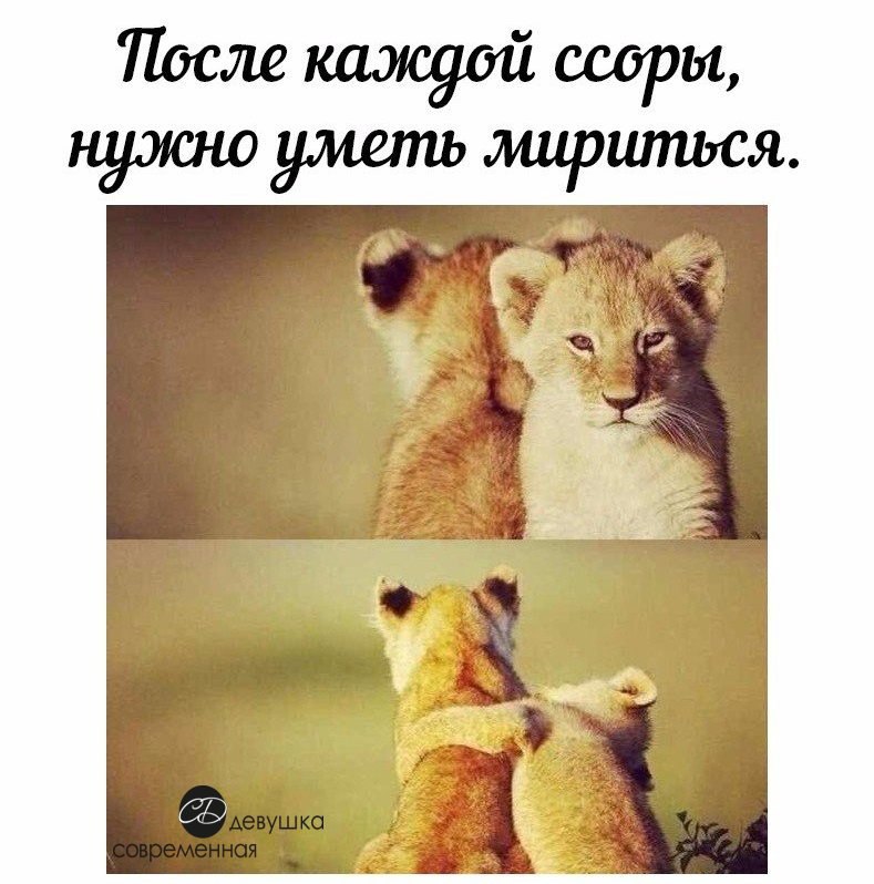 Давай не вы а ты. Примирение картинки. Помирились картинки. Надо мириться. Открытка после ссоры с любимым.