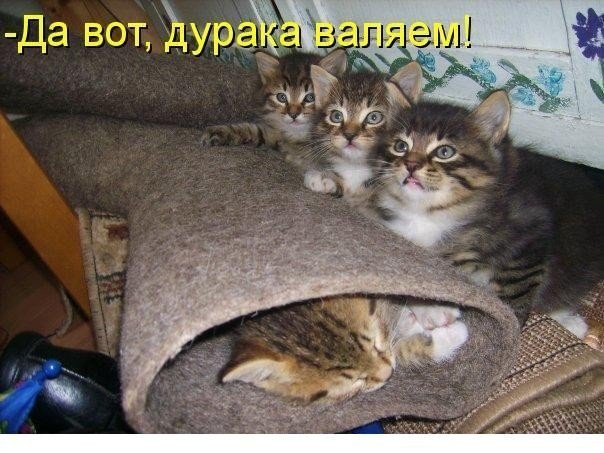 ������������ ���� - 10 ���� 2015 � 21:52