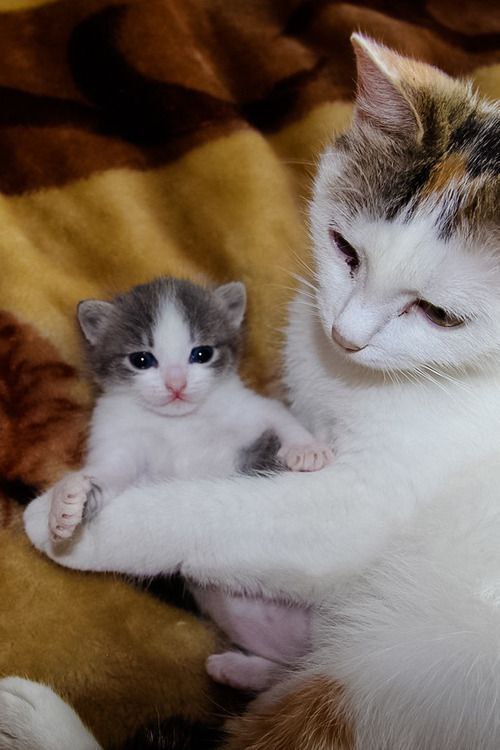  :3 - 3