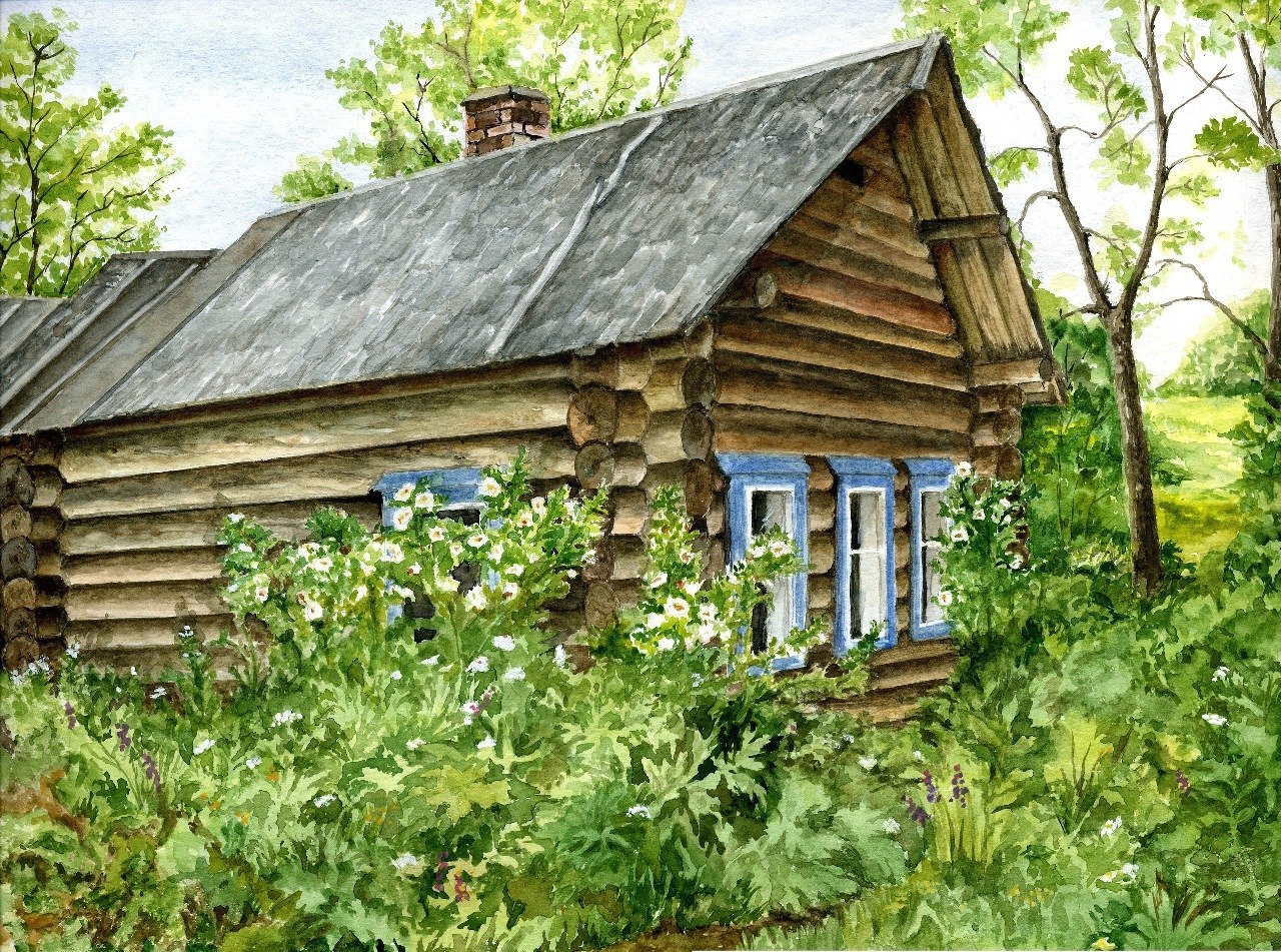 новые книги исторические романы англия и франция. кузаранда федосова. кук забытая деревня. дома в деревне на отшибе. деревня заброшка.