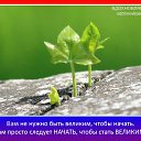  ,  -  6  2015   )))