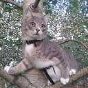  ♥♥, - -  18  2015    