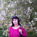 26.05.2015�.