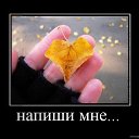 ���� �������, ������ - ��������� 31 ������� 2015 � ������ ��������������