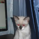 ���� �������, ������, 51 ��� - ��������� 12 �������� 2015 � ������ ���������