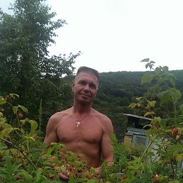 ��������, 56 ���, �������