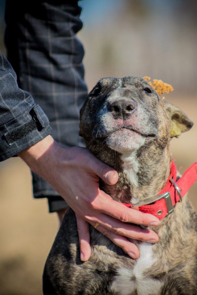 ПОЗДРАВЛЯЕМ ПОБЕДИТЕЛЕЙ.ФОТО-БАТЛАI место - МальтаII место - ТэссаIII место - Баюша - 2
