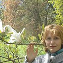 ���� �������, ����������� - ��������� 3 ��� 2015 � ������ ������ ��������