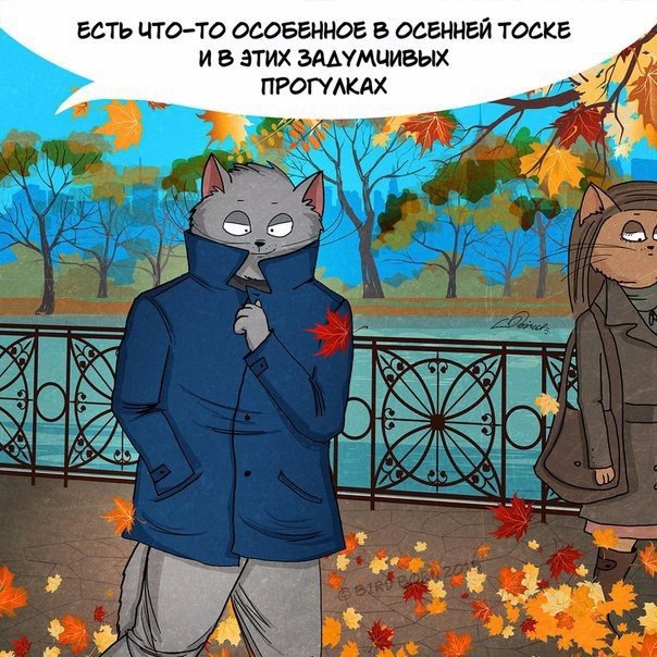 ,   !