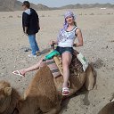 ���� ����, �����������, 51 ��� - ��������� 26 ���� 2015 � ������ ������ ��������