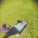 ���� �������, ��������� - ��������� 27 ��� 2015 � ������ ������ ��������