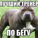  ,  -  30  2015    