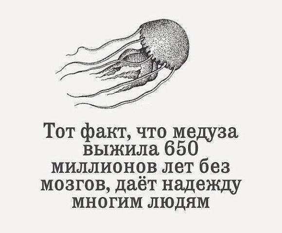   - 19  2015  23:16