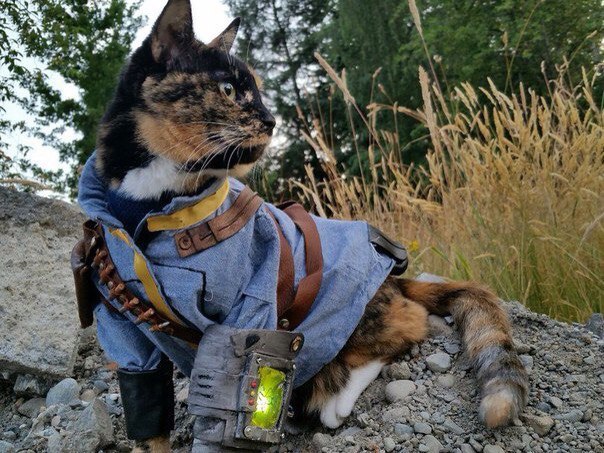     Fallout 4 - 3