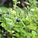 ���� ������, ��������, 103 ���� - ��������� 4 ������� 2015 � ������ ��������. ���� ���. ���� 2015.�