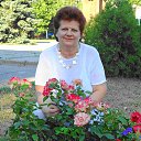 ���� �����, ����������, 71 ��� - ��������� 11 ������� 2015