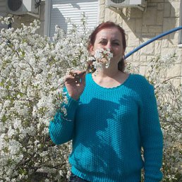 ���� �����, �����������, 48 ��� - ��������� 14 ������� 2015