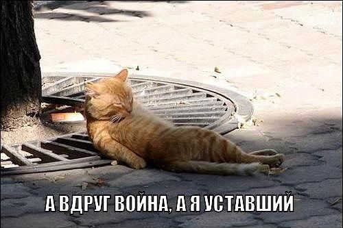       - 10  2015  12:50