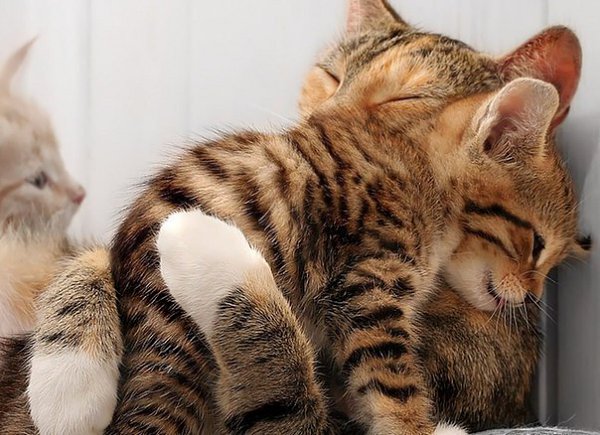 Можно закрыть глаза на то, что видишь. Но нельзя закрыть сердце на то, что ты чувствуешь.