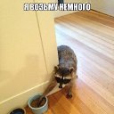 ���� �����, ������ ��������, 38 ��� - ��������� 14 ������� 2015 � ������ ������ ��������