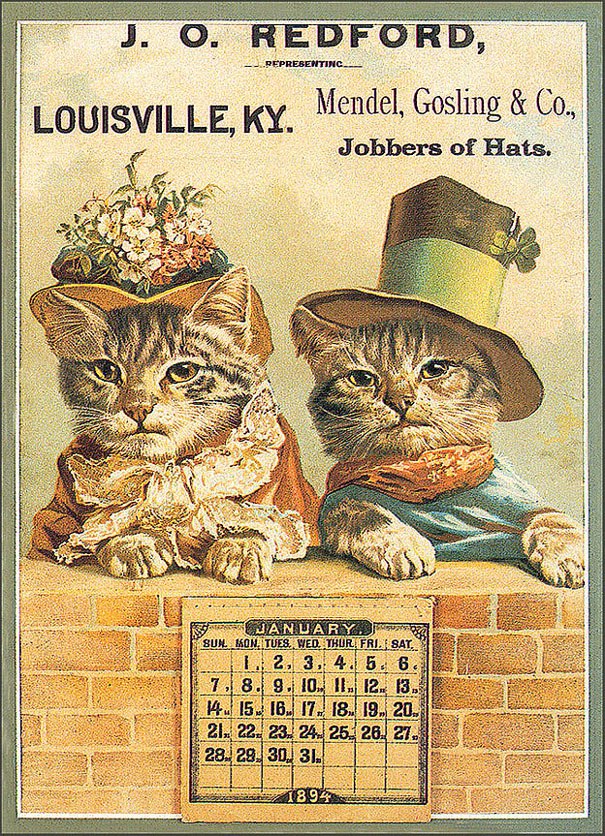 Cat in Old Ilustratives /     - 14