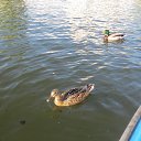  Ehtibar, , 59  -  10  2015    