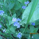 ���� ���������, �����������, 69 ��� - ��������� 20 ���� 2015 � ������ ����������� ����.������� ���.������������ �����, ��������������� ���.���� 2015�