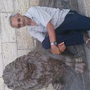 ���� Evgenli, ���������, 71 ��� - ��������� 4 ������� 2015