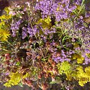  , -- -  5  2015    2015