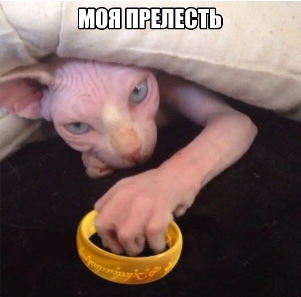      - 27  2015  13:04